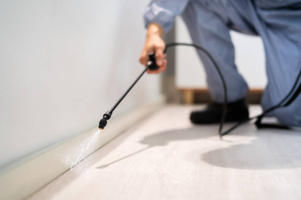 Certified termite inspector examining foundation in Lincolnton